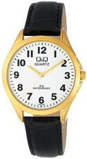 Pánské hodinky Q&Q C192J104Y